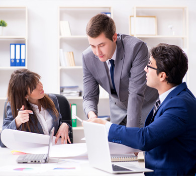 Employment Immigration